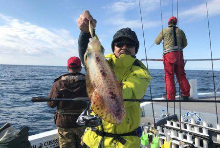 South Current 釣果