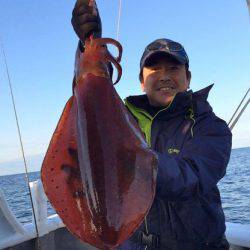 South Current 釣果