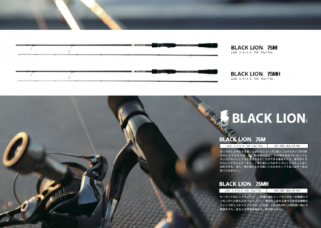 South Current 釣果