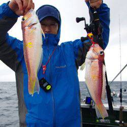 Big One　ビッグワン 釣果