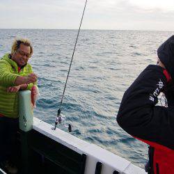 Big One ビッグワン 釣果