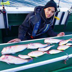 Big One　ビッグワン 釣果