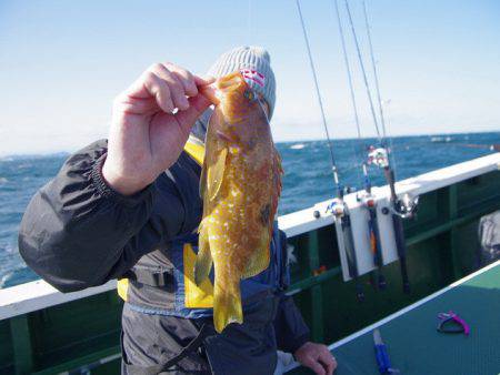 Big One　ビッグワン 釣果