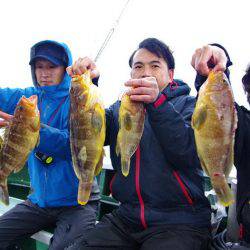 Big One　ビッグワン 釣果