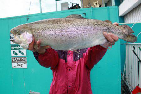 としまえんフィッシングエリア 釣果
