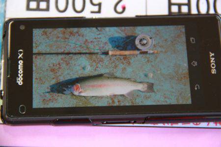 としまえんフィッシングエリア 釣果