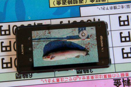 としまえんフィッシングエリア 釣果