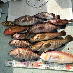 チャモロ 釣果