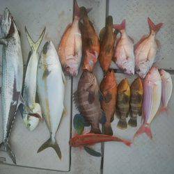 海季丸(みきまる) 釣果