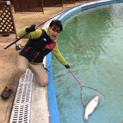 としまえんフィッシングエリア 釣果