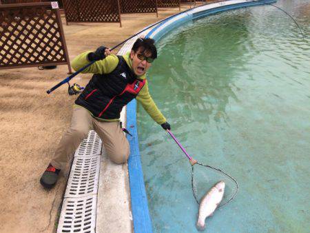 としまえんフィッシングエリア 釣果