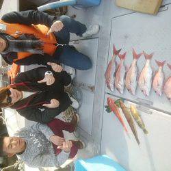 海季丸(みきまる) 釣果