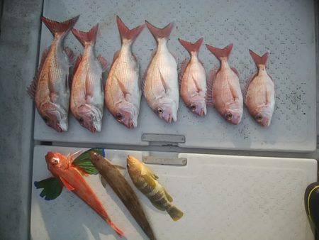 海季丸(みきまる) 釣果