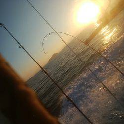 海季丸(みきまる) 釣果