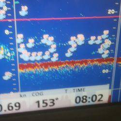 海季丸(みきまる) 釣果