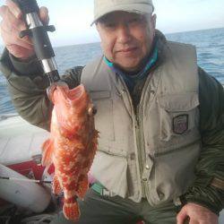 海季丸（みきまる） 釣果