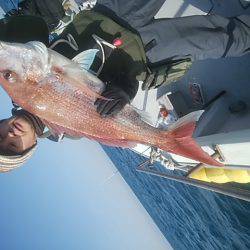海季丸(みきまる) 釣果
