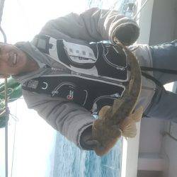 海季丸(みきまる) 釣果