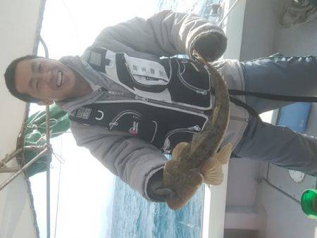 海季丸(みきまる) 釣果