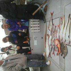 海季丸（みきまる） 釣果