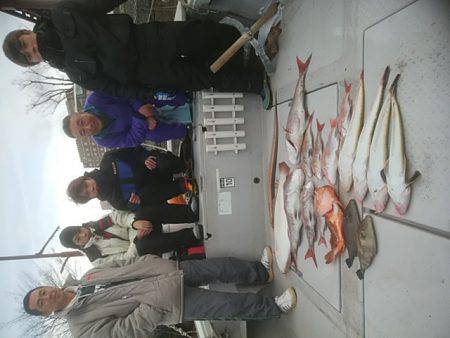 海季丸（みきまる） 釣果