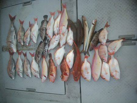 海季丸（みきまる） 釣果