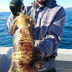 ブルースフィッシングサービス 釣果