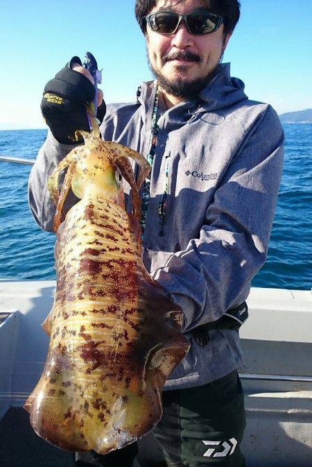 ブルースフィッシングサービス 釣果