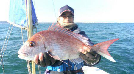 ＴＨＥＳＥＡＭＡＮ（ザシーマン） 釣果