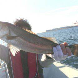 THESEAMAN(ザシーマン) 釣果