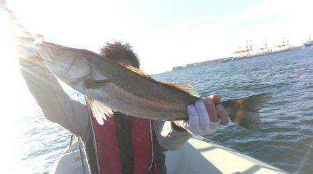 THESEAMAN(ザシーマン) 釣果