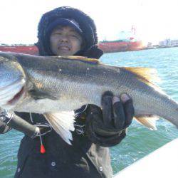 THESEAMAN(ザシーマン) 釣果