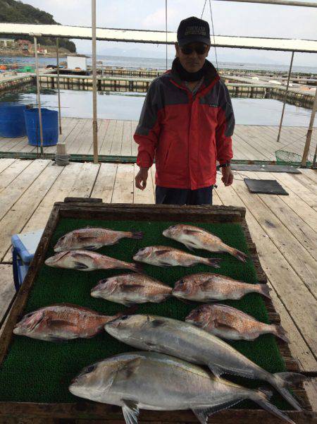 海の釣堀 海恵 釣果
