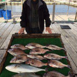 海の釣堀 海恵 釣果
