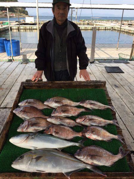 海の釣堀 海恵 釣果