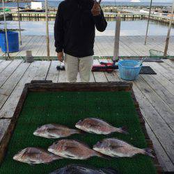 海の釣堀 海恵 釣果