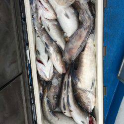 海龍丸（石川） 釣果