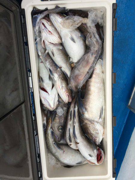 海龍丸（石川） 釣果