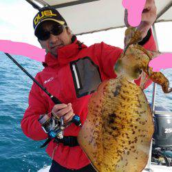 ソルトウォーターガイドフレンズ 釣果