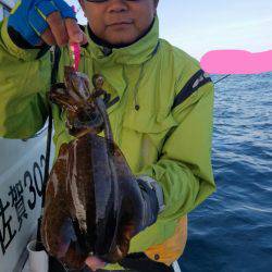 ソルトウォーターガイドフレンズ 釣果