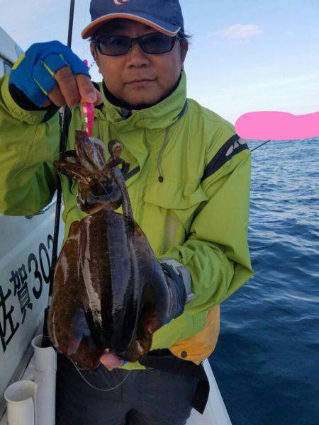 ソルトウォーターガイドフレンズ 釣果