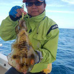 ソルトウォーターガイドフレンズ 釣果