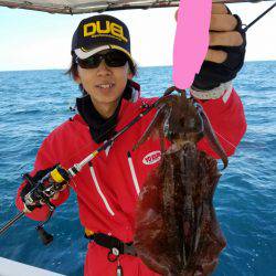 ソルトウォーターガイドフレンズ 釣果