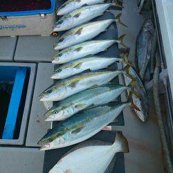 エンペラー 釣果