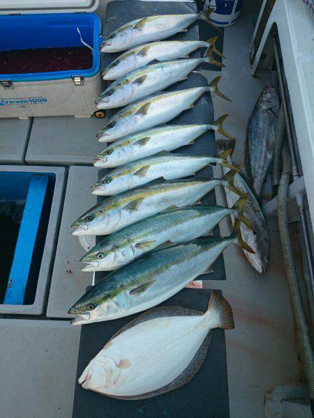 エンペラー 釣果