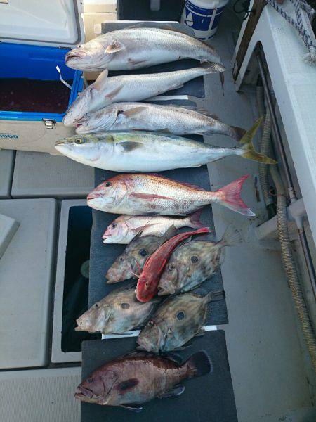 エンペラー 釣果