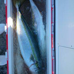 エンペラー 釣果