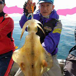 ソルトウォーターガイドフレンズ 釣果