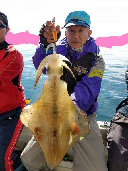 ソルトウォーターガイドフレンズ 釣果