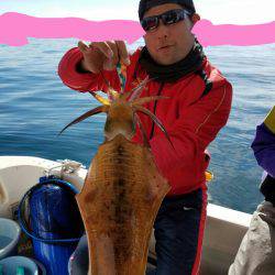 ソルトウォーターガイドフレンズ 釣果